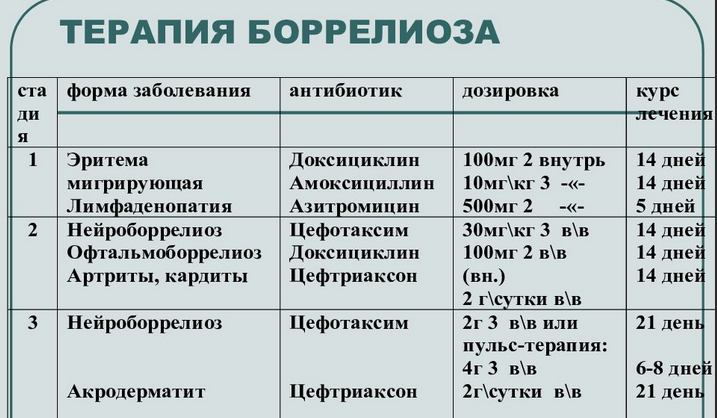 Терапия при клещевой болезни лайма