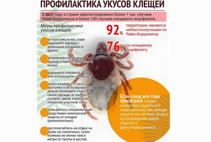 Вот как защититься от клещевых инфекций