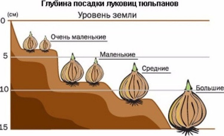 Глубина