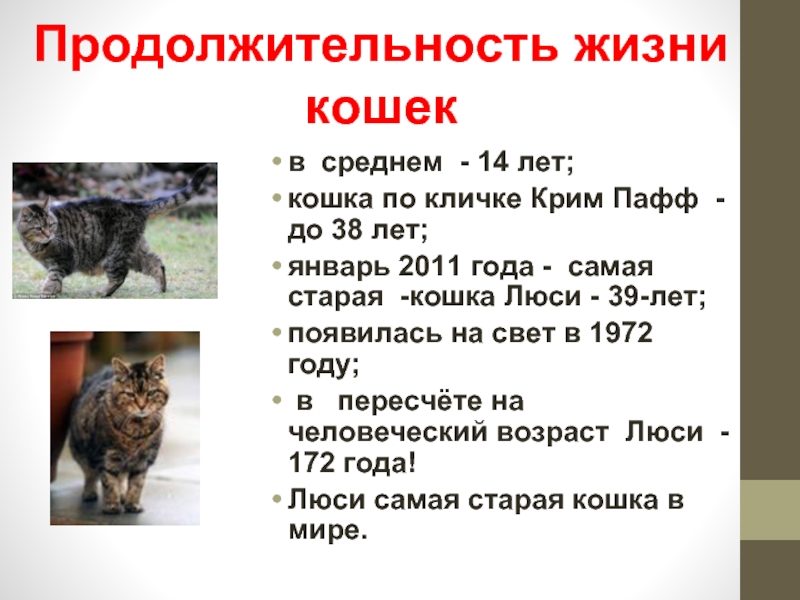 Интересный факт