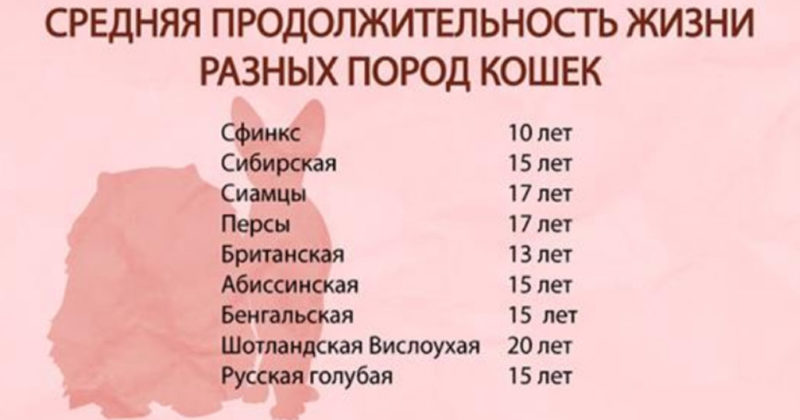 Длительность жизни