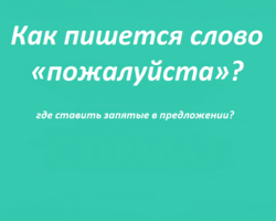 Слово «пожалуйста»: как правильно пишется в предложении, с запятыми или нет?