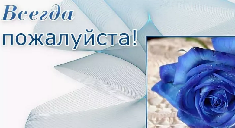 «всегда пожалуйста»