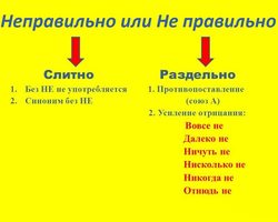 «Не правильно» или «неправильно» — как писать: правило, примеры предложений