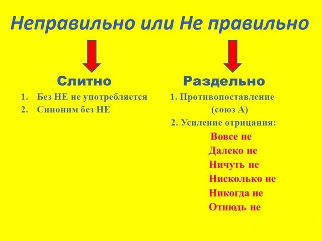 «Не правильно» или «неправильно» — как писать: правило, примеры предложений