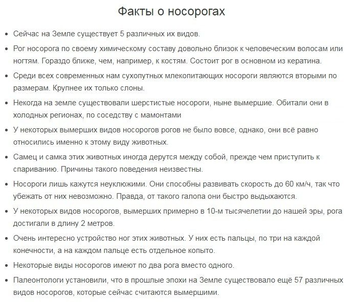 О носороге