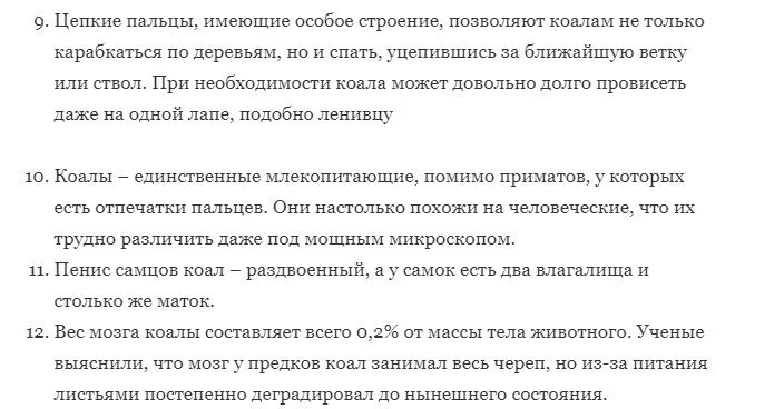 О коалах