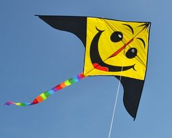 Как сделать летающего воздушного змея своими руками — из бумаги, пакета-маечки, без палочек, ткани, оригами: инструкция пошагово