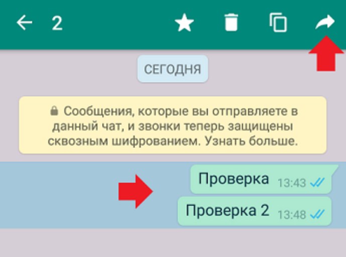 Переслать чат