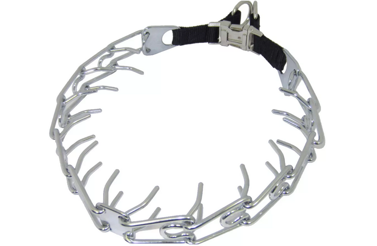 Необычные методы воспитания собаки, когда она прыгает на хозяина и кусается