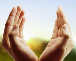 Красные точки на ладонях под кожей: причины, лечение, отзывы