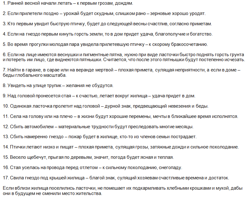Приметы про ласточек