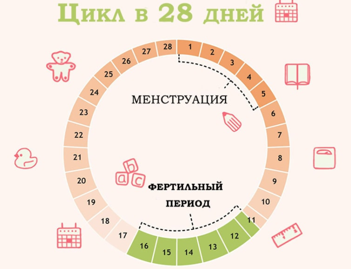 Овуляция может быть без месячных