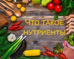 Нутриенты: что это такое, в каких продуктах содержатся, инструкция по применению