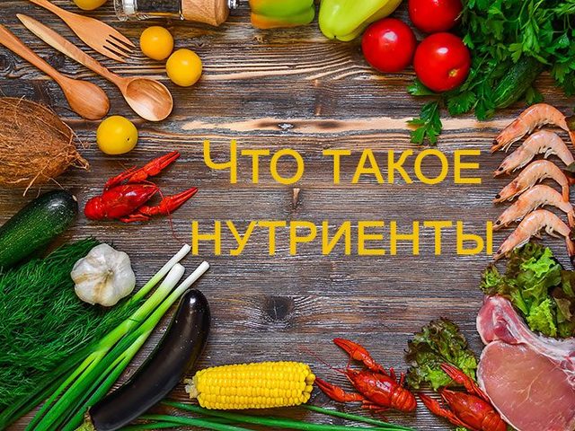 Нутриенты: что это такое, в каких продуктах содержатся, инструкция по применению