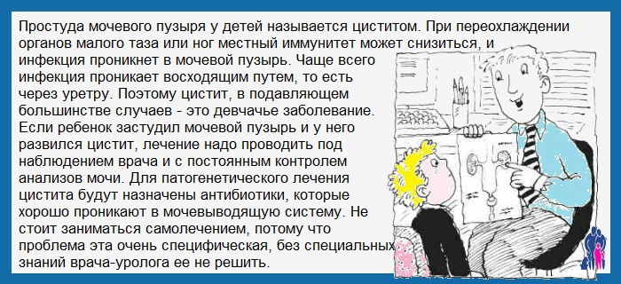 Ребенок застудил мочевой пузырь: лечение