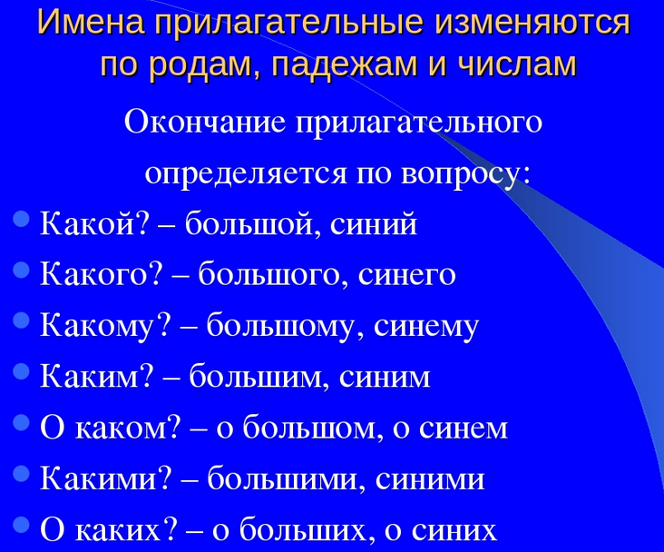 Имена прилагательные изменяются по родам, числам и падежам