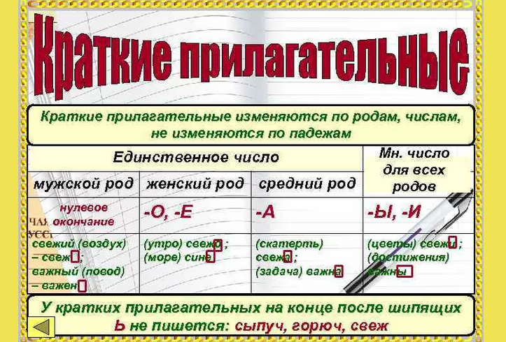 Род, число, падеж кратких прилагательных