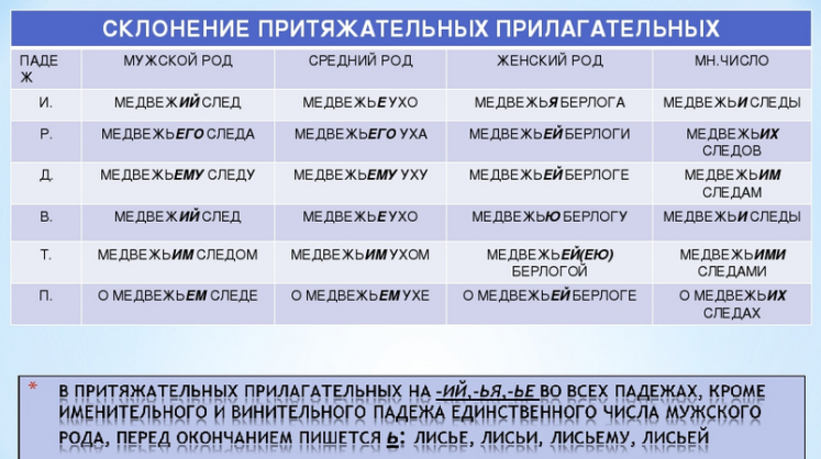 Изменение притяжательных прилагательных по родам, числам и падежам