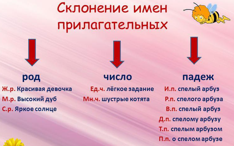 Род, число, падеж прилагательного