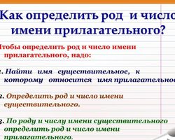 Как указать род число падеж прилагательного: правила, примеры
