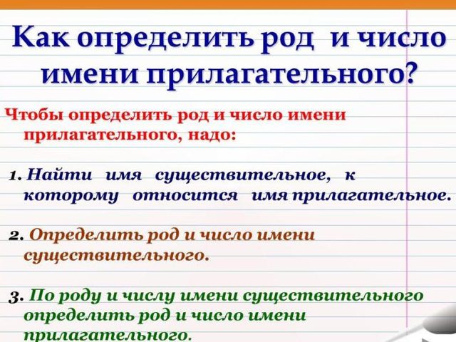 Как указать род число падеж прилагательного: правила, примеры