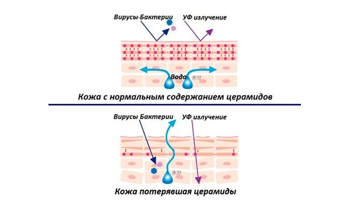 Значение для кожи