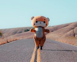 Как сшить карнавальный костюм бурого медведя для мальчика?