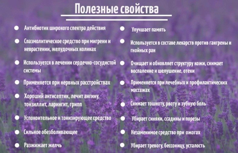 Свойства