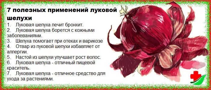Луковая шелуха