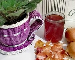Луковая шелуха – настой, отвар: польза для рассады овощных культур, как подкормка и защита от вредителей и болезней: рецепты