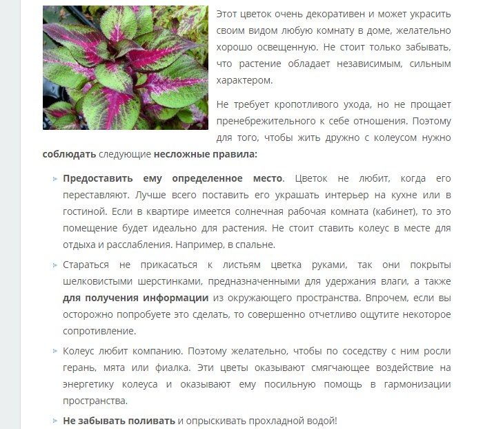 При покупке правильно установите цветок в доме