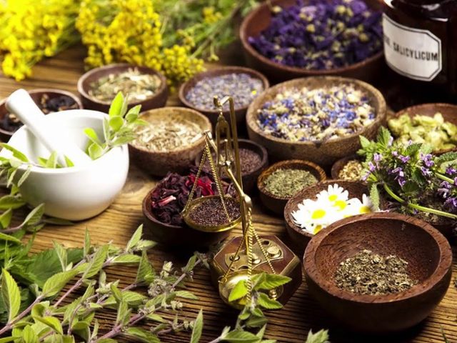 32 продукта, помогающих бороться с грибковыми инфекциями: избавляемся от частых заболеваний у мужчин и женщин