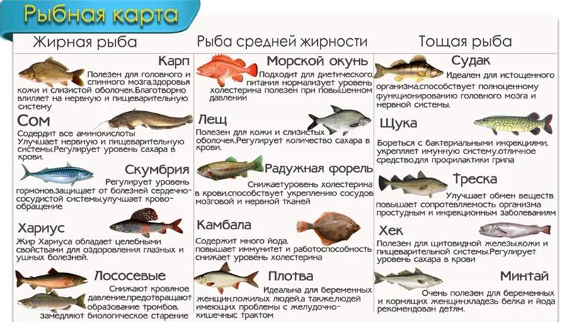Рыба разной степени жирности