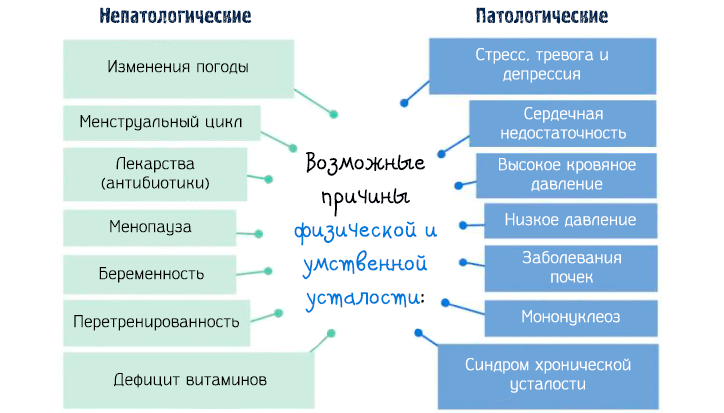 Непатологические и патологические причины хронической усталости