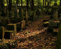Почему на кладбище нельзя смотреть на чужие могилы, фотографировать могилу, брать вещи с чужой могилы?