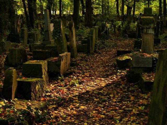 Почему на кладбище нельзя смотреть на чужие могилы, фотографировать могилу, брать вещи с чужой могилы?