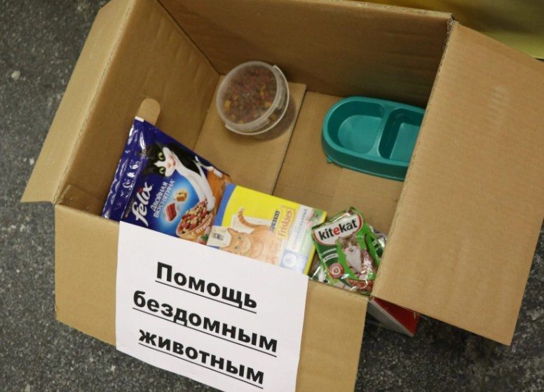 Помощь животным
