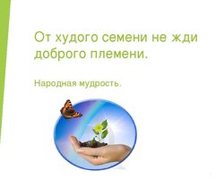 Смысл пословицы «От плохого семени не жди хорошего племени»: значение, примеры из жизни и литературы
