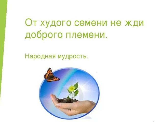 Смысл пословицы «От плохого семени не жди хорошего племени»: значение, примеры из жизни и литературы