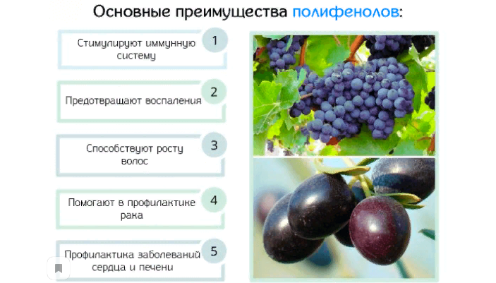 Полифенолы — основа сиртфут-диеты