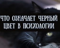 Черный цвет в психологии человека, тяга к черному: характеристика цвета, что означает у девушек и женщин, мужчин, детей? Что символизирует черный цвет?