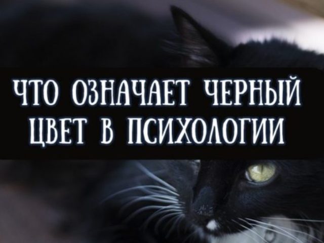 Черный цвет в психологии человека, тяга к черному: характеристика цвета, что означает у девушек и женщин, мужчин, детей? Что символизирует черный цвет?