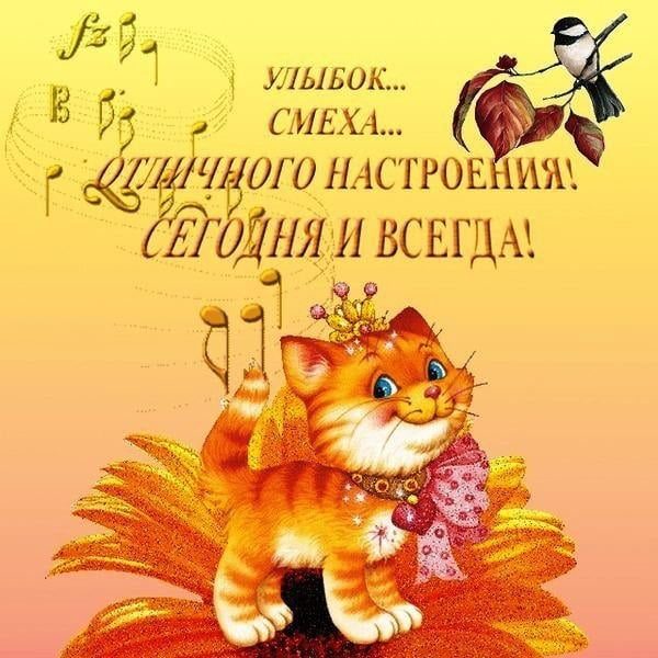 Прикол поздравление женщине - самое приятное