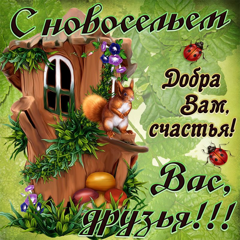 Оригинальное поздравление с новосельем