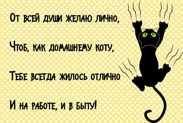 Бесплатные приколы поздравления в стихах