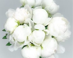 Белый цвет в психологии человека, тяга к белому: характеристика цвета, что означает у девушек и женщин, мужчин, детей? Что символизирует белый цвет?