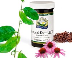 БАД «Кошачий коготь» – ункария: лечебные свойства, инструкция по применению, показания, противопоказания, отзывы врачей и пациентов, ссылки на сайт iHerb