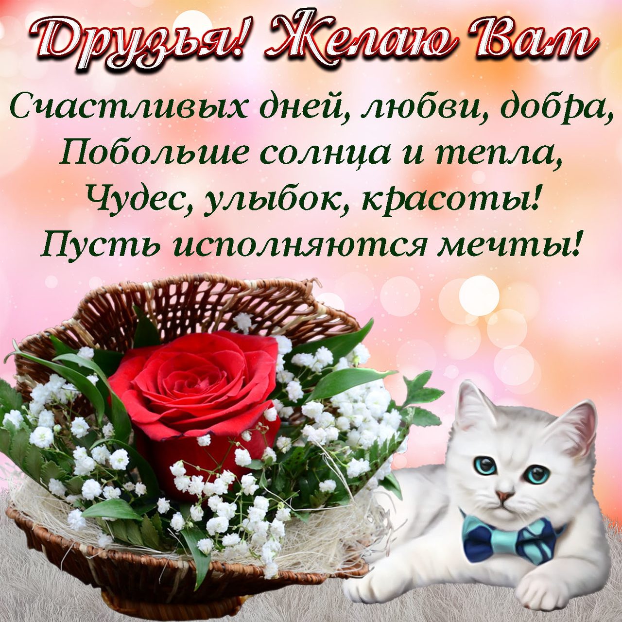 Прикольные картинки с пожеланиями другу