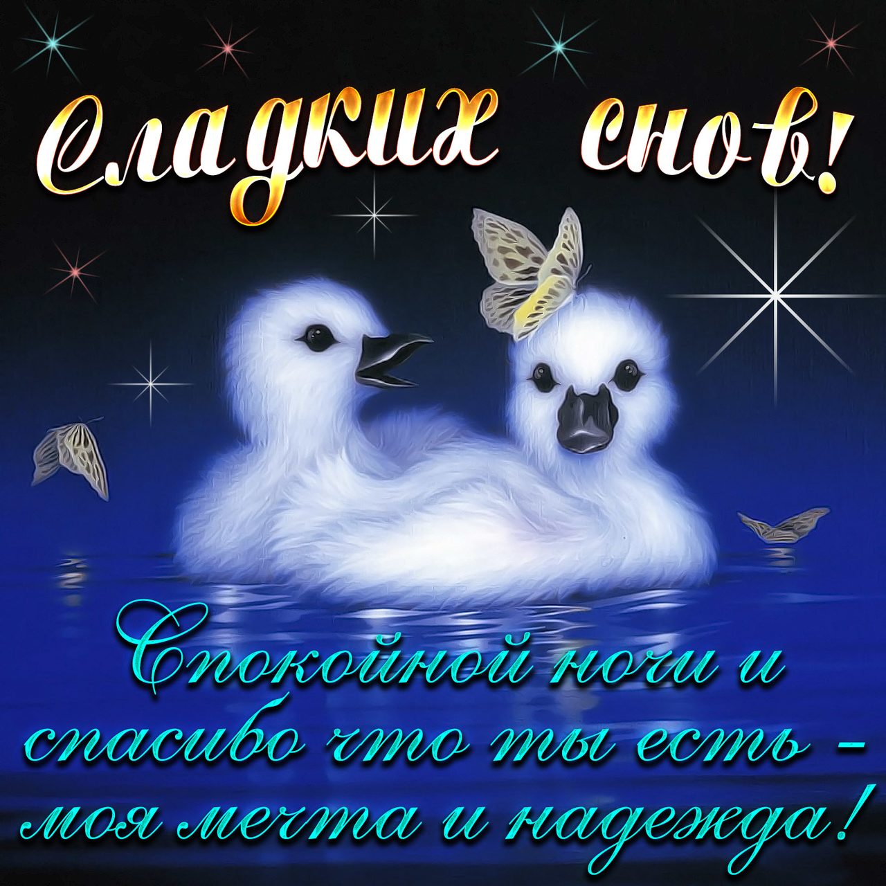 Спокойной ночи - картинки с пожеланиями прикольные